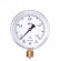 Манометр МТ-100х10кгс/см2 G1/2 БАГОРИЯ Манометр МТ-100х10кгс/см2 G1/2 БАГОРИЯ